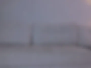 rinacain webcam preview