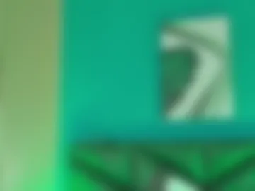 robbinblaze webcam preview