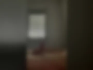robbydales live webcam preview