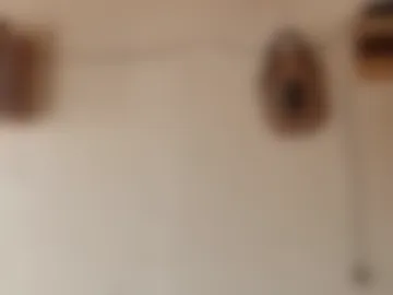 roberreyes266059 live webcam preview