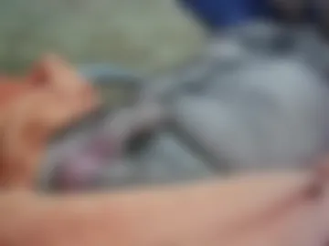 roccosan live webcam preview