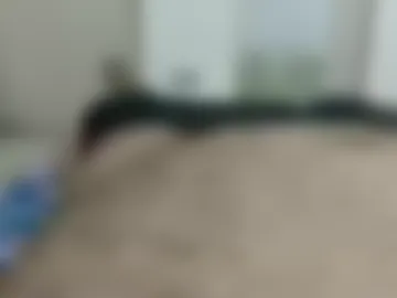 rockikoki live webcam preview