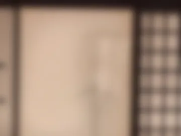 rocknrose webcam preview