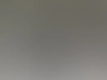 ronburgunt live webcam preview