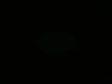 ronin098 webcam preview