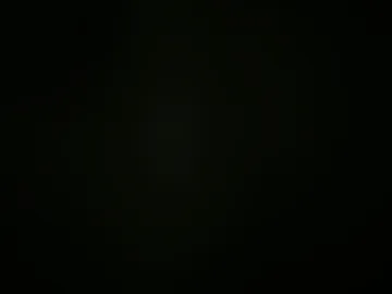 rooster2030 live webcam preview