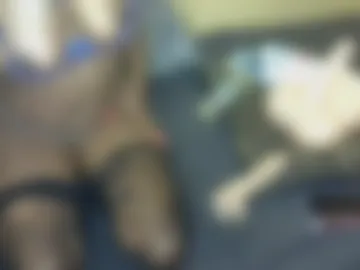 rosebrit live webcam preview