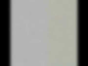 roseyevergarden photo 5