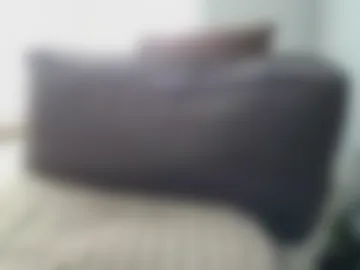 rudikoff webcam preview