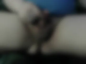 ruinedorgasm17 live webcam preview