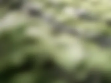 ruskinni1893 live webcam preview