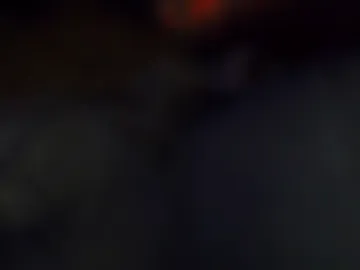s292064 live webcam preview