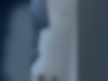 sa4583 live webcam preview