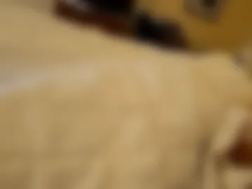 sa648304 live webcam preview