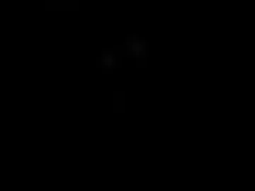 sabersakher live webcam preview
