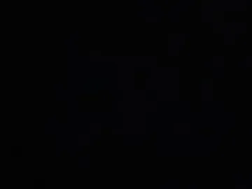 sabs13109925 photo 3