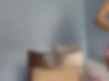 sachikotoki webcam preview