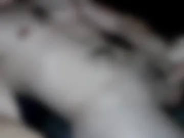 sailforspeed webcam preview