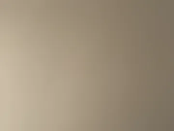 saint0fsin webcam preview