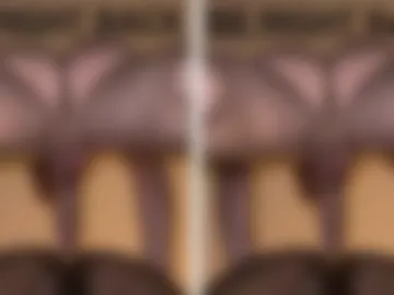 saintxlando live webcam preview