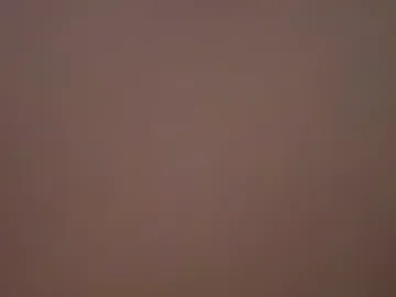 salamandertime photo 7