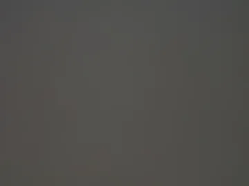 salamandertime webcam preview