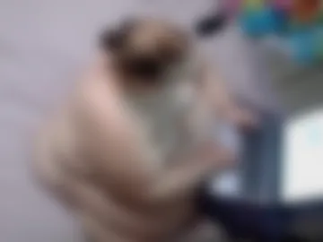 sammiejean85 webcam preview
