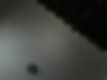 sammysosa_ live webcam preview