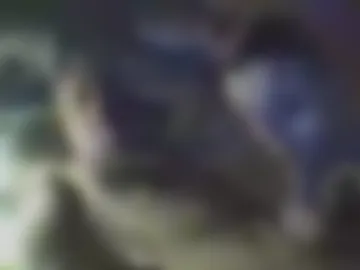 samshatum live webcam preview