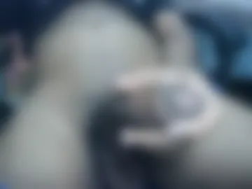 samuel_ra25 live webcam preview