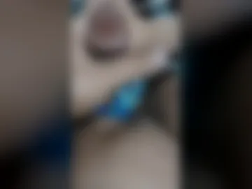 sanadvilla live webcam preview
