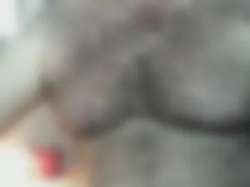 sankesankes live webcam preview