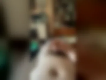 sanko73 live webcam preview