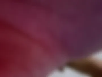 santababy0 photo 2