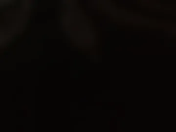 saotome_ranma photo 2