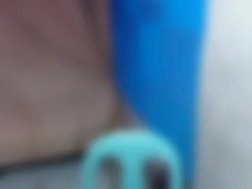 sapiosexualasiantrans photo 2