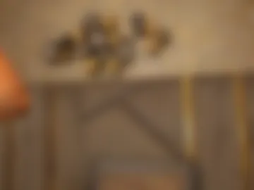 saramagiic webcam preview