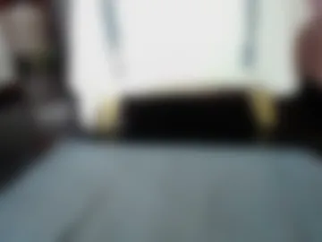 sasha_start webcam preview