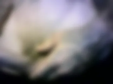 satorn95 photo 4