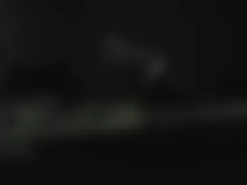 sau32899696 live webcam preview