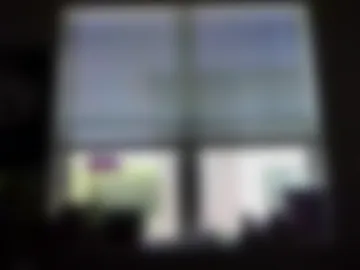 savsavage2 photo 8