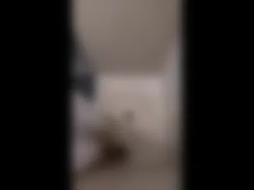 sbud94 live webcam preview