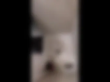 sbud94 live webcam preview
