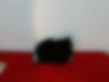 scarletfox__03 photo 3
