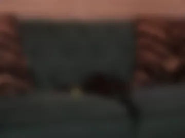 scarletsnows photo 5