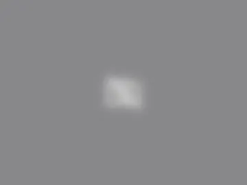 sceptique live webcam preview