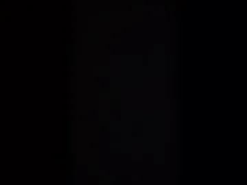 scott_win1 webcam preview