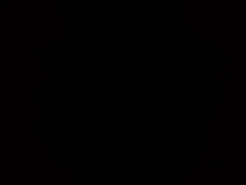 scottthebull live webcam preview