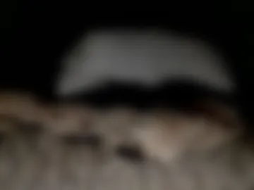 sdseventy webcam preview