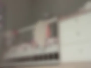 sebilone webcam preview